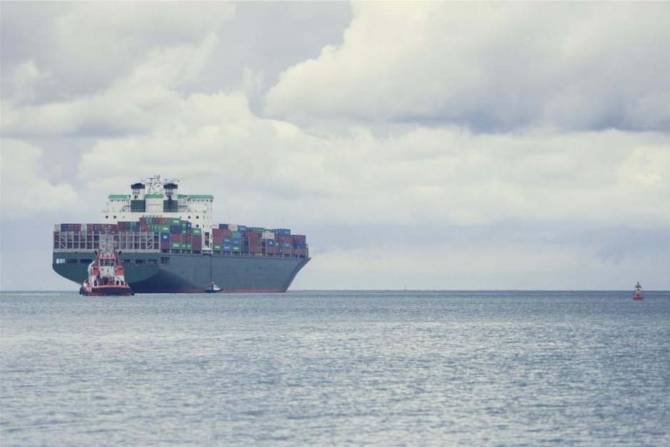 Import & Export