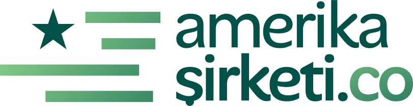 Amerika Sirketi