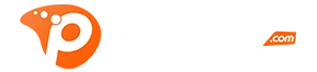 Paneliniz